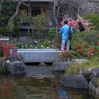 Giardino a Kamakura