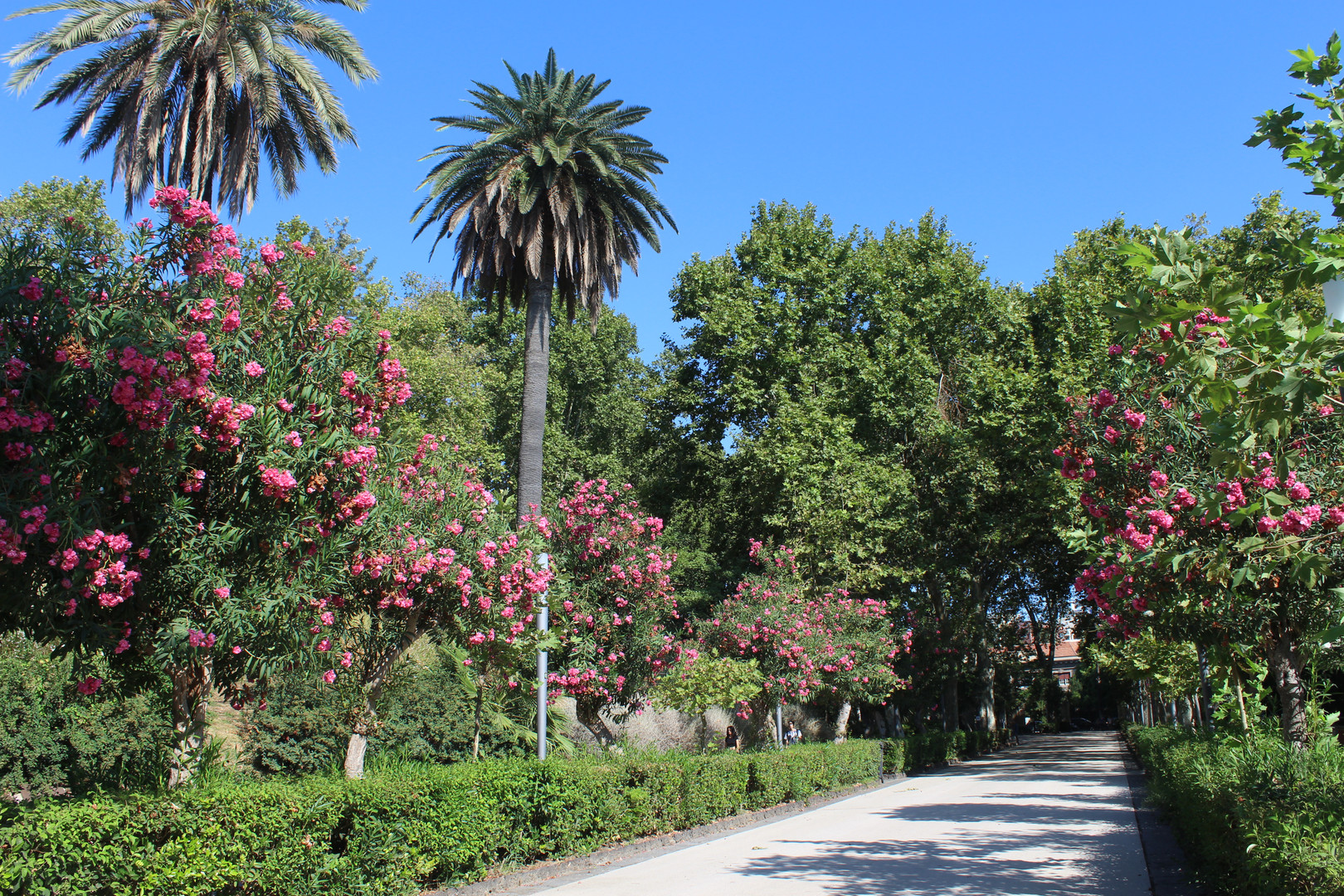 Giardino Bellini Runde