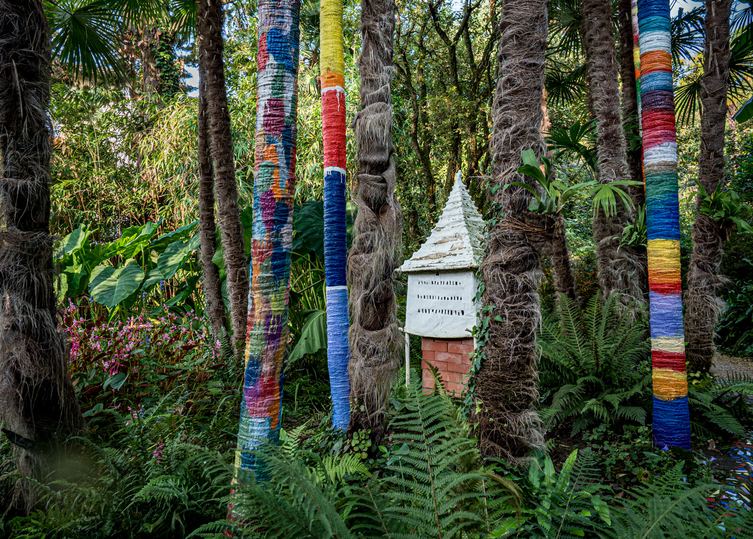 Giardino Botanico Andre Heller Foto Bild Landschaft Garten