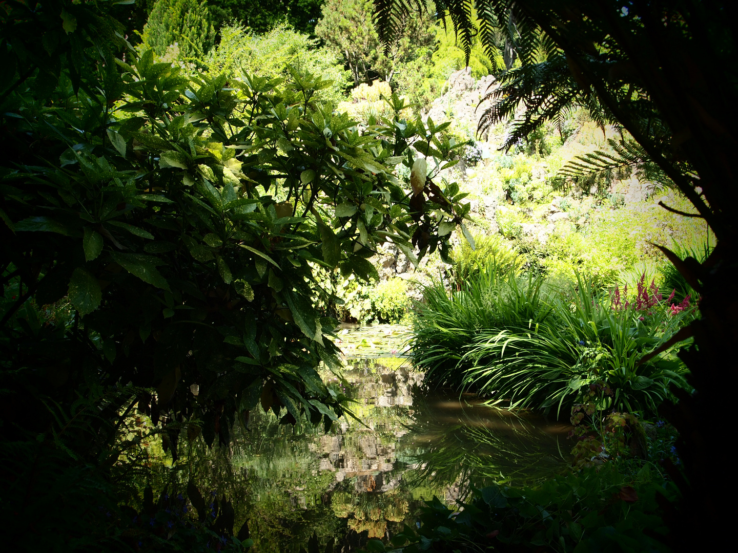 Giardino Botanico in Gardone- Andre´ Hellers Zaubergarten