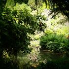 Giardino Botanico in Gardone- Andre´ Hellers Zaubergarten