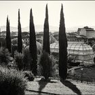 Giardino del Parnaso