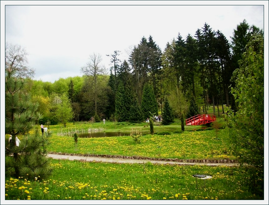 giardino dendrologico