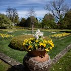 Giardino italiano