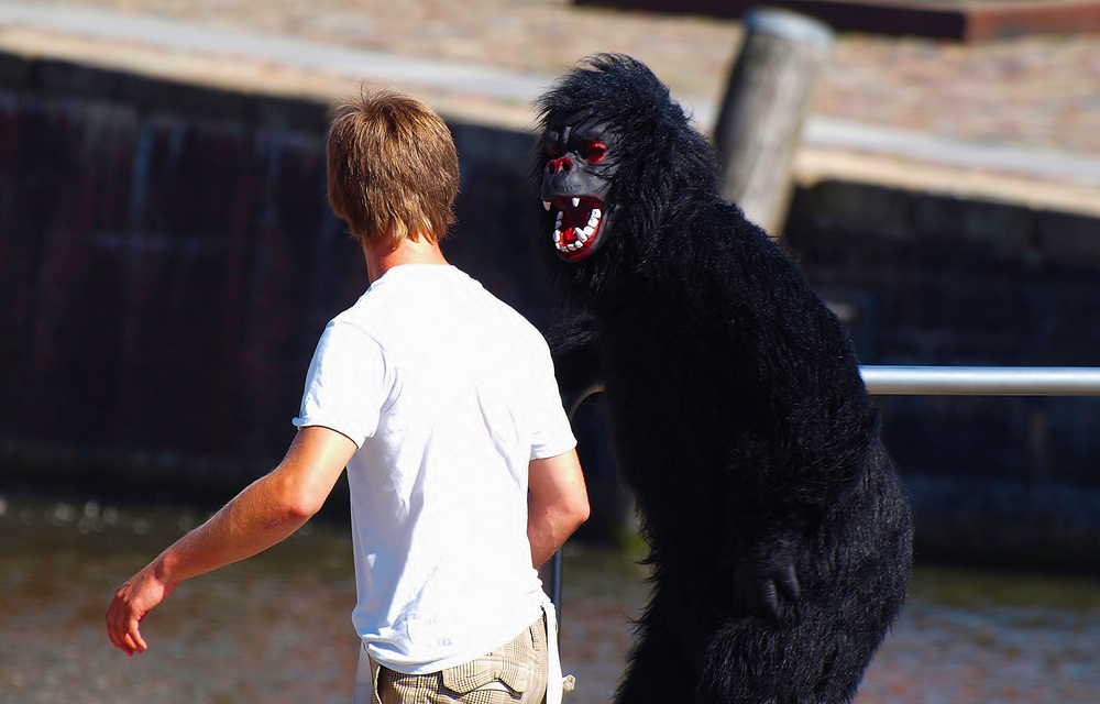 Gib Deinem Affen Zucker…