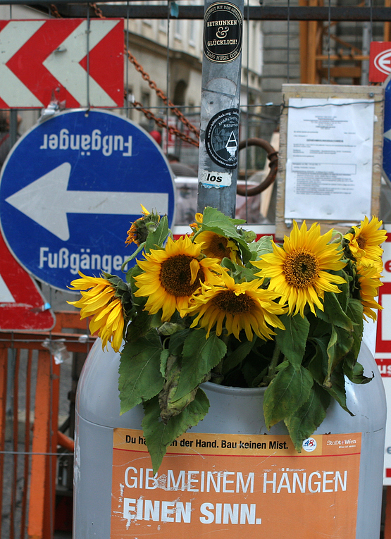 Gib meinem Hängen einen Sinn!