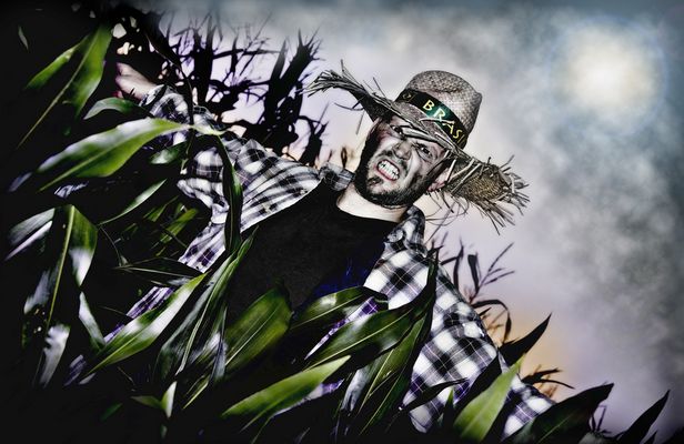 Gib Vögeln keine Chance.......