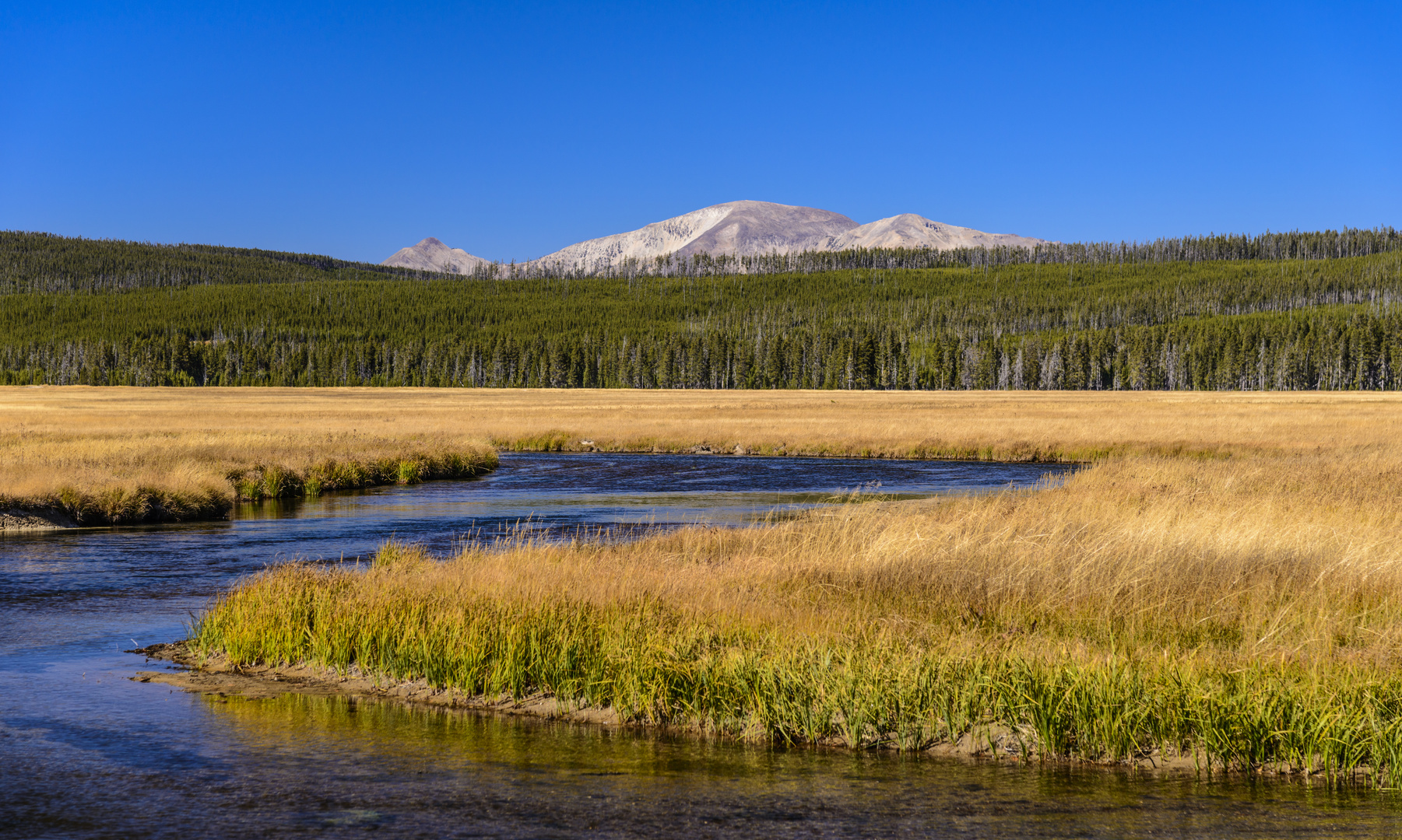Gibbon River Valley, Yellowstone NP, Wyoming, USA Foto & Bild himmel