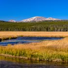 Gibbon River Valley, Yellowstone NP, Wyoming, USA