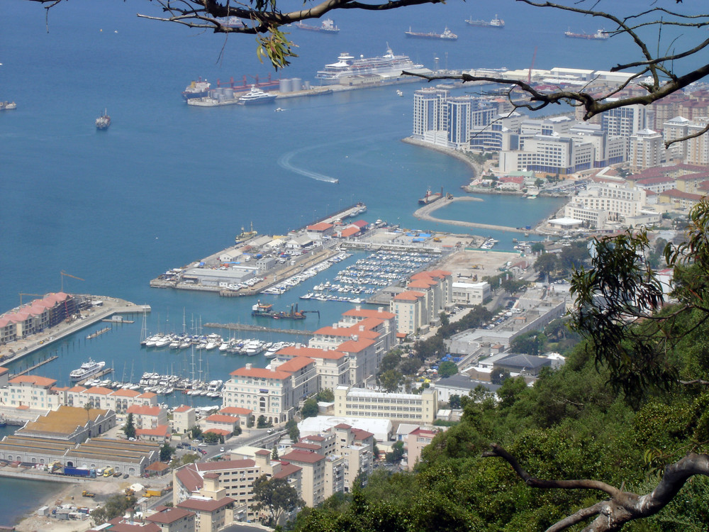 Gibraltar aus der Perspektive der Affen