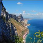 Gibraltar -Upper rock 1