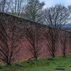 Gibside Wall Garden