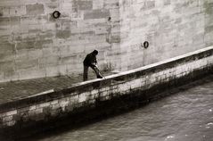 gibt es denn überhaupt Fische in der Seine?