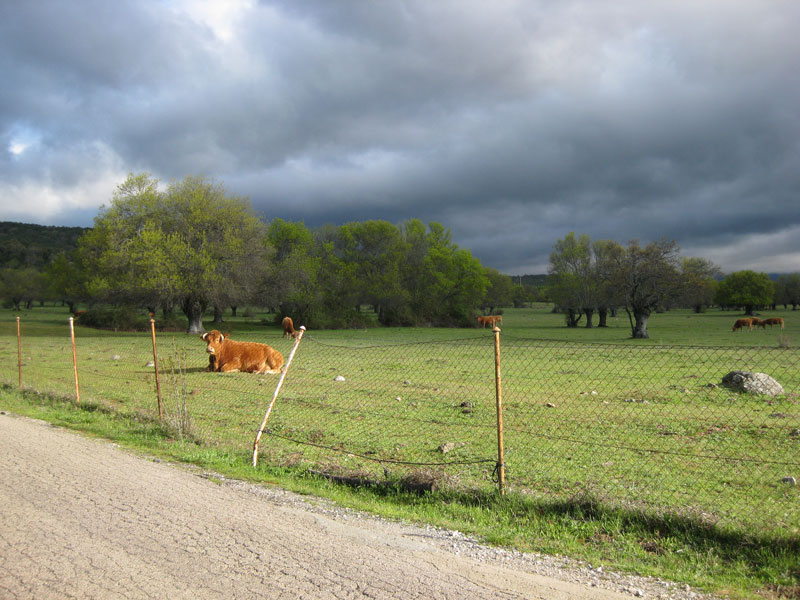 Gibt es Gewitter?