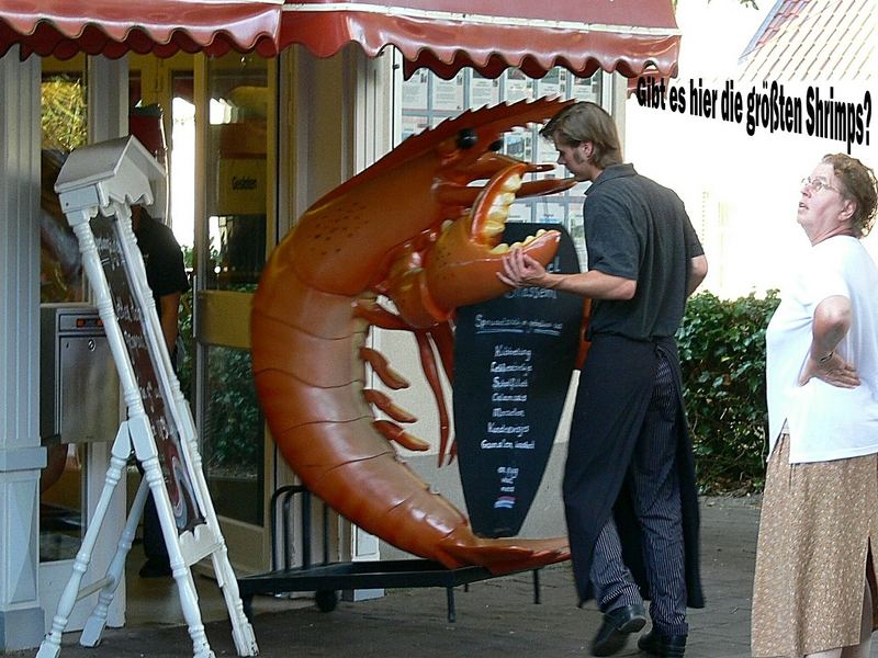 Gibt es hier die größten Shrimps?
