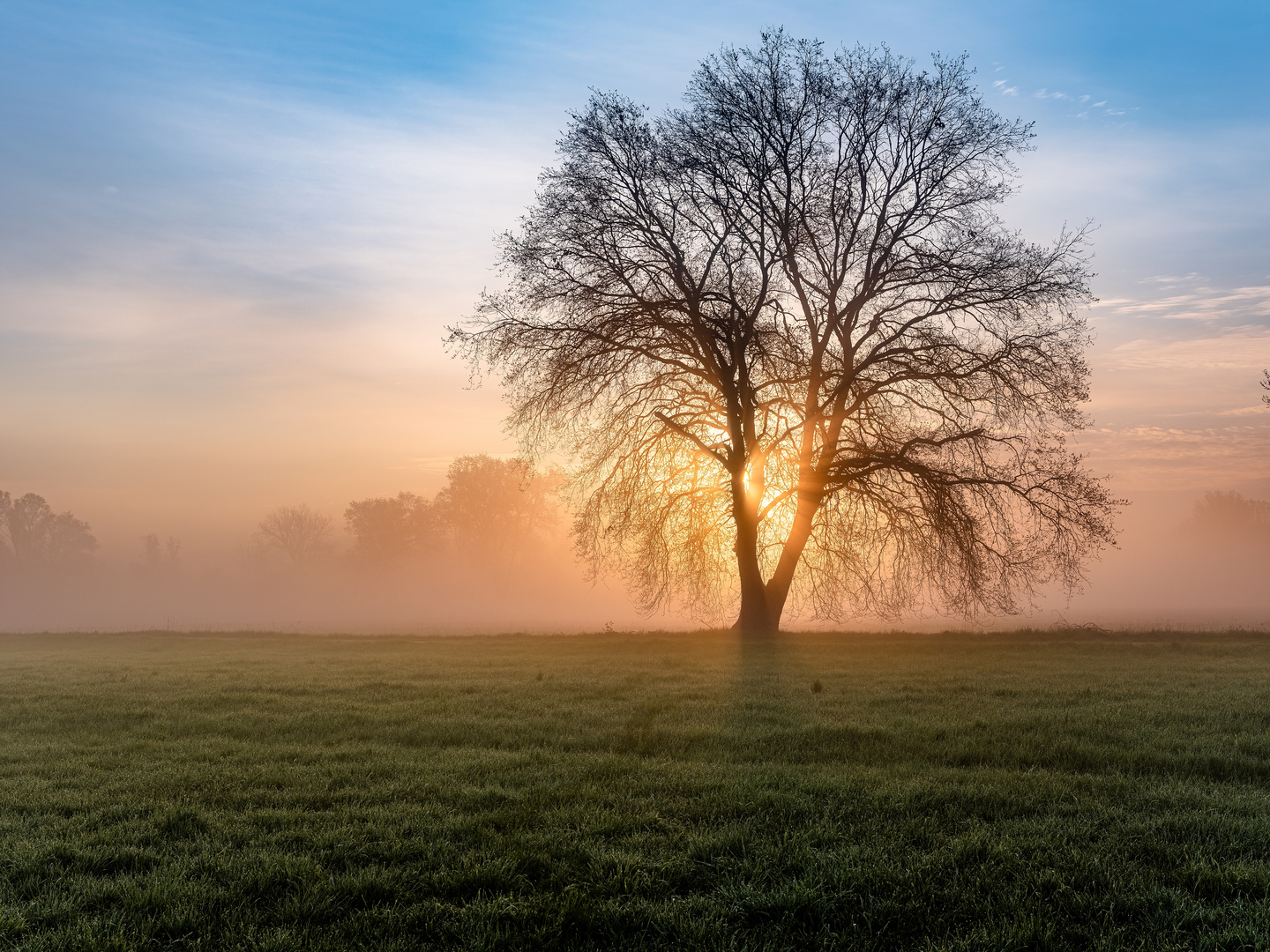 Gibts Nebel im Mai ...