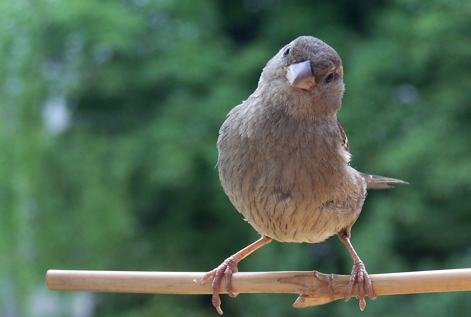 "Gibts noch was?"