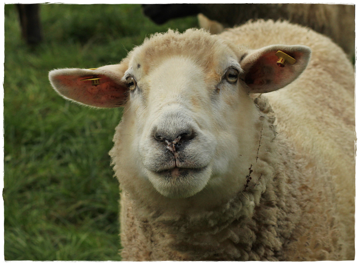 " Gibt`s noch was oder fotografierst Du nur ! ?" 