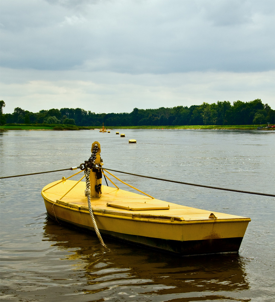 Gieren auf der Elbe