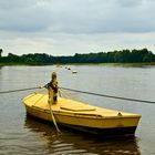 Gieren auf der Elbe