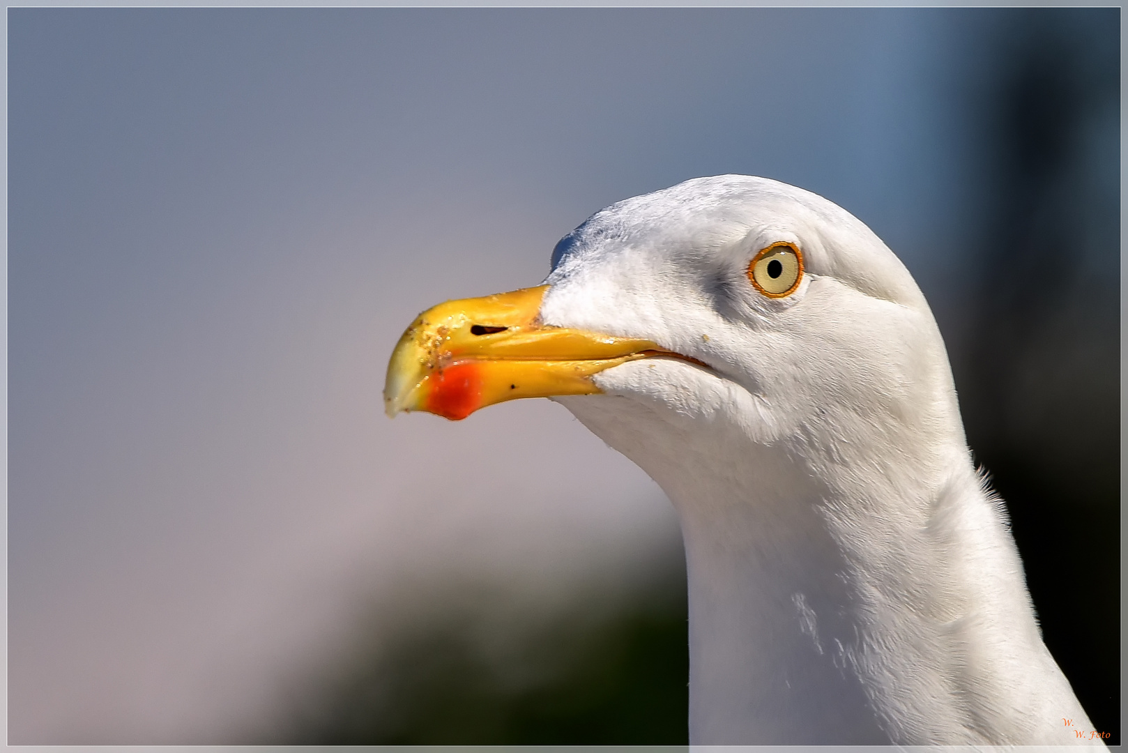 Gieriger Blick