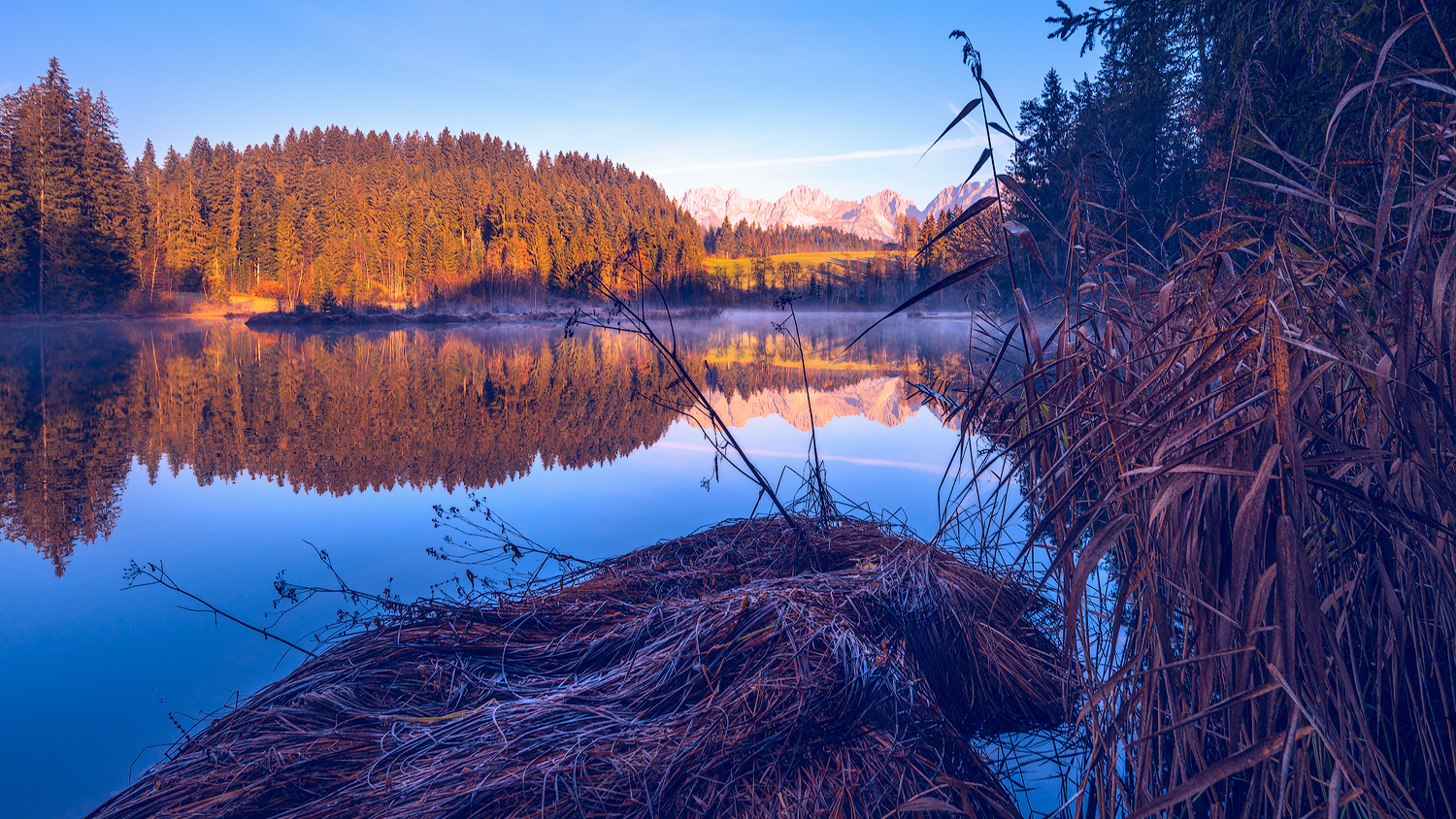 Gieringer Weiher