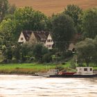 Gierseilfähre in Polle (Weser)