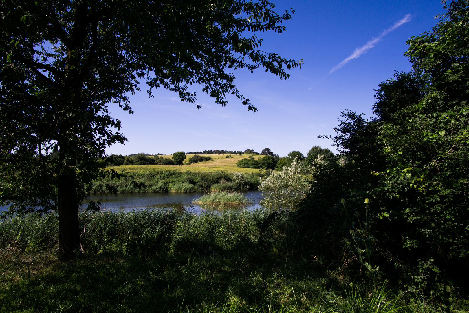 Giesener Teich