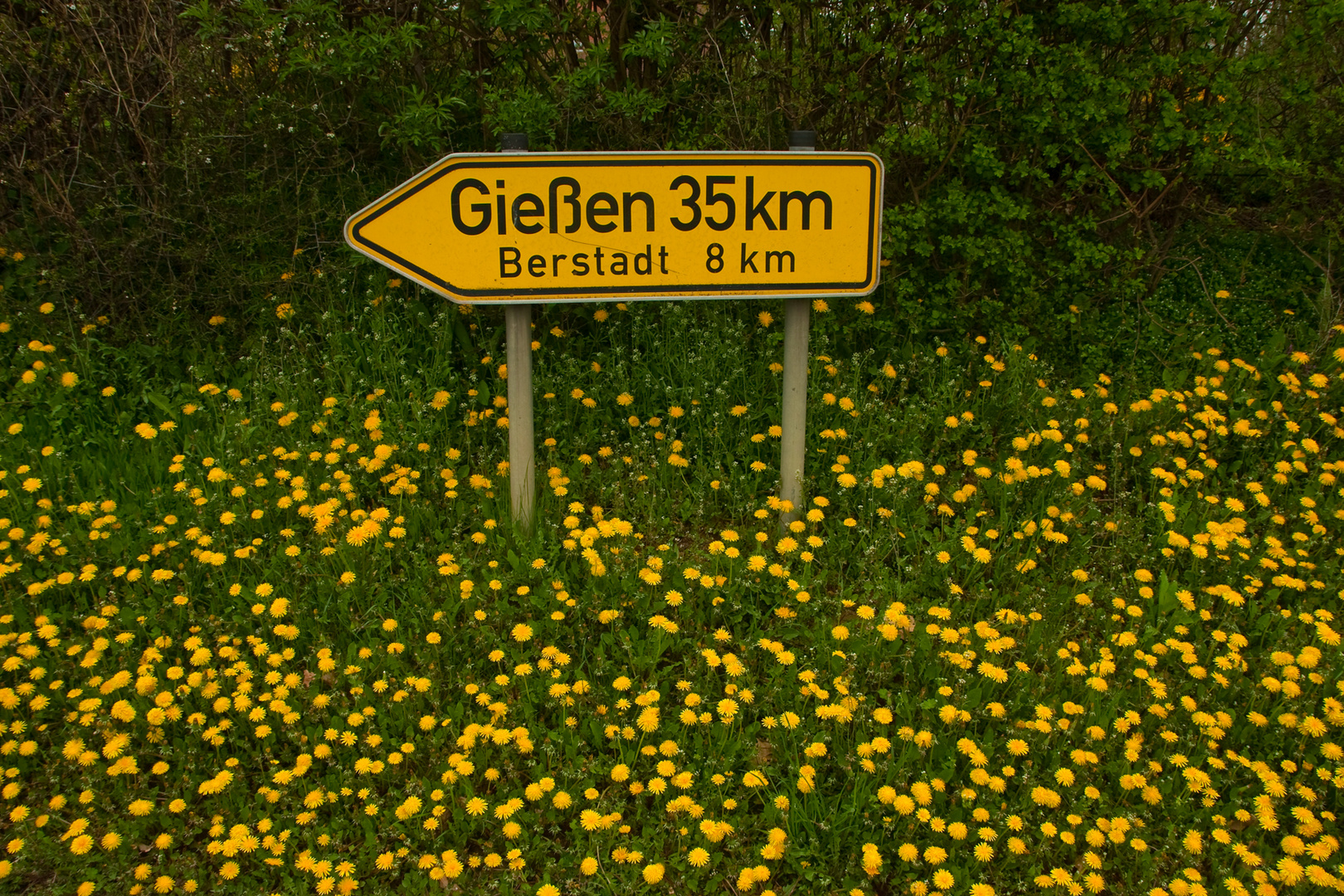 Gießen 35 km