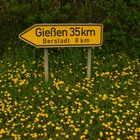 Gießen 35 km