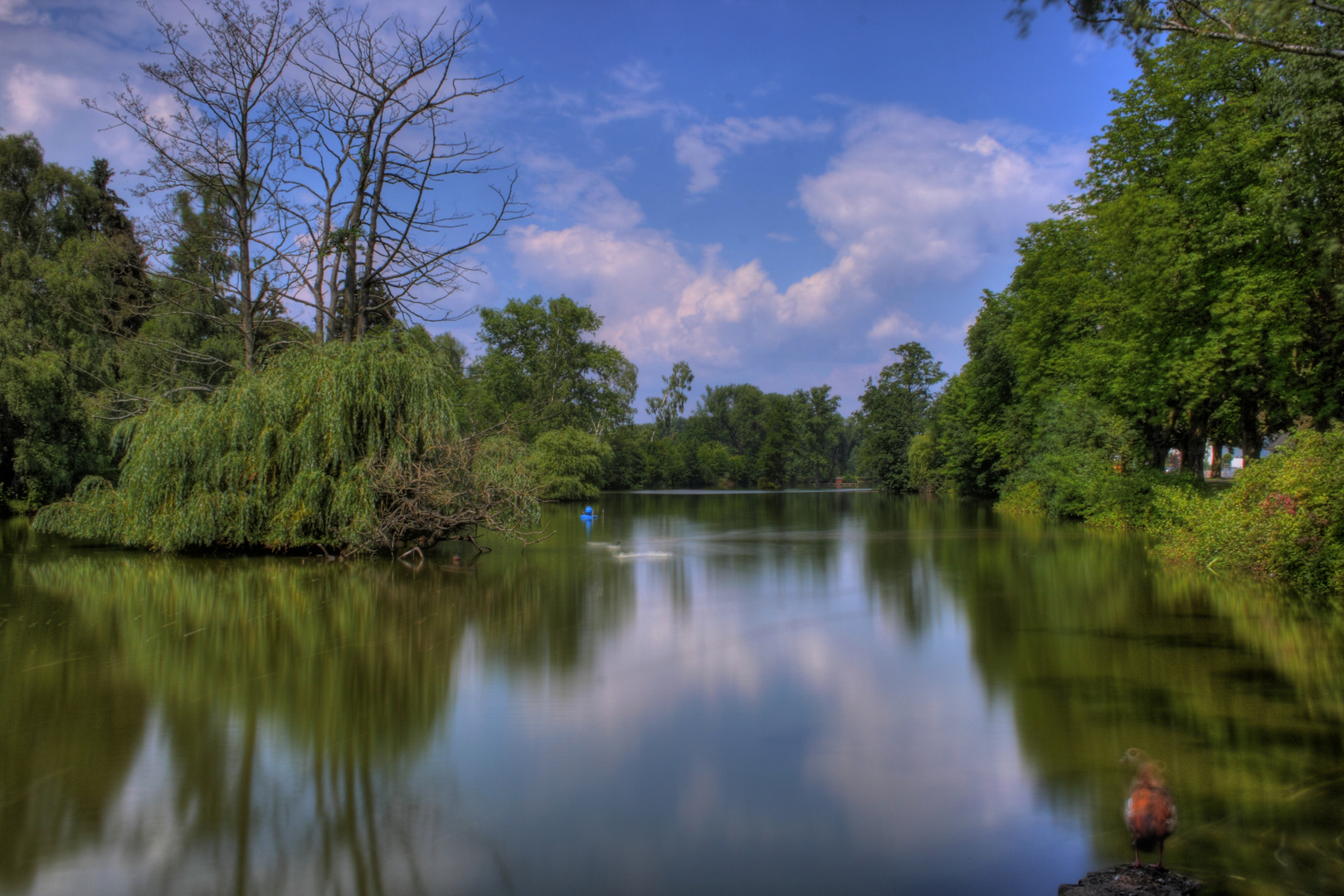 Gießen Schwanenteich Foto & Bild landschaft, bach, fluss & see, see