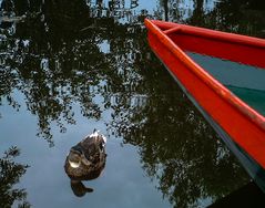 Giethoorn II - das Venedig Hollands