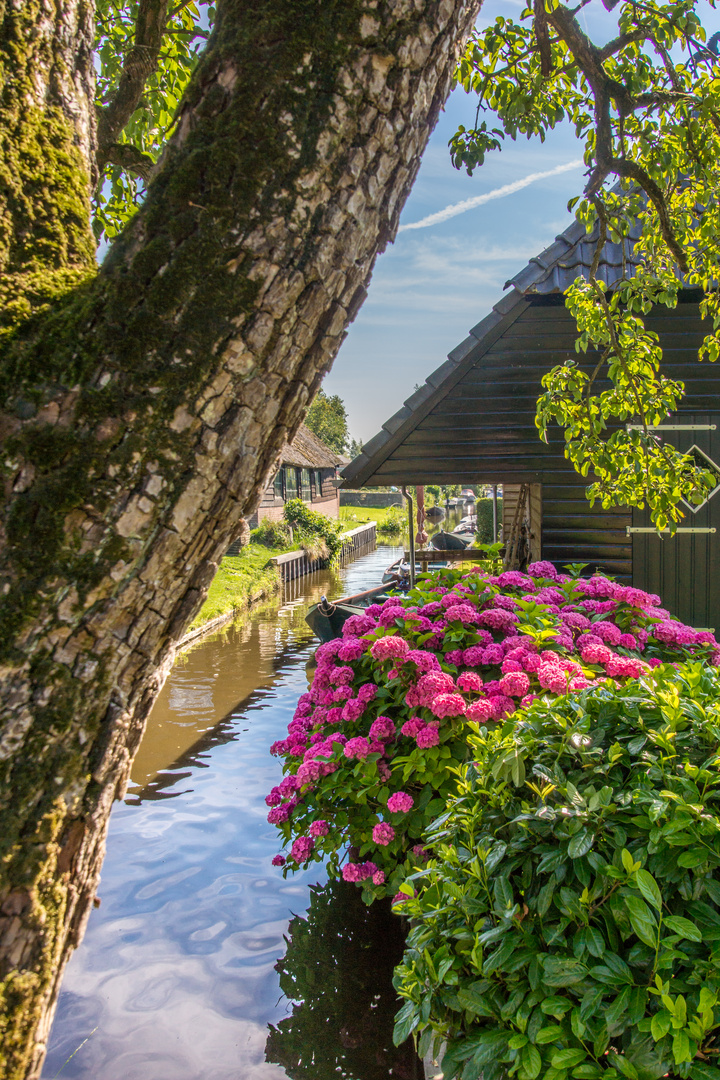 Giethoorn III - Niederlande