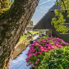 Giethoorn III - Niederlande