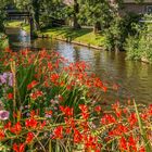 Giethoorn IX - Niederlande