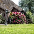 Giethoorn / NL