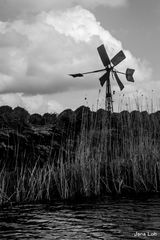 Giethoorn 'Skyline' 2