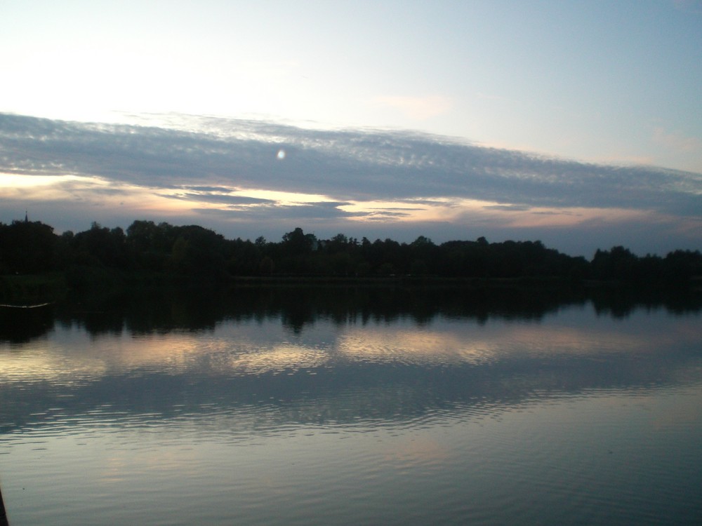 Gifhorner Heide am abend