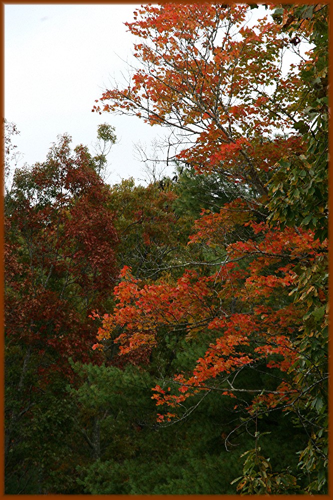 Gift of Seasons, October in N Ga, USA