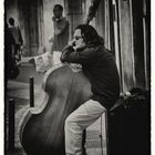 Gig Street Bassist in L’Isle-sur-la-Sorgue