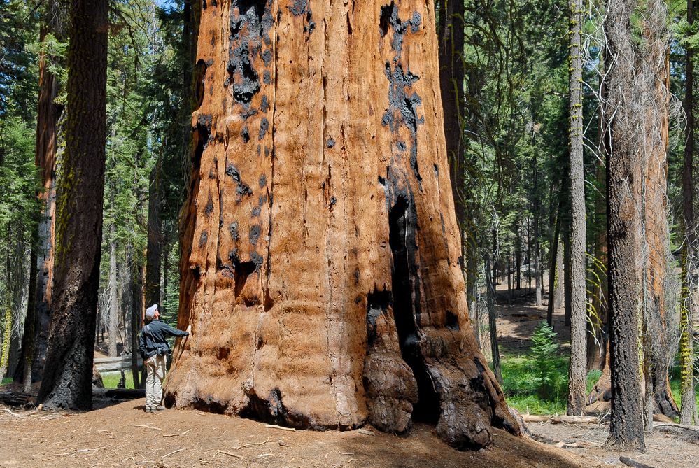 Gigant Foto & Bild north america, united states, national parks