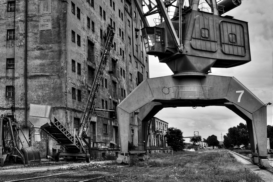 Gigant im Hafen