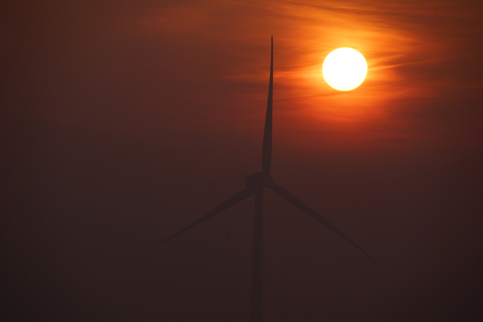 Gigant im Morgennebel 