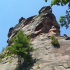 Gigant im Pfälzer Wald