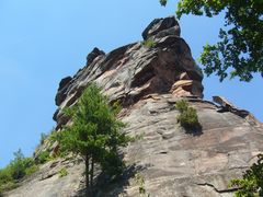 Gigant im Pfälzer Wald