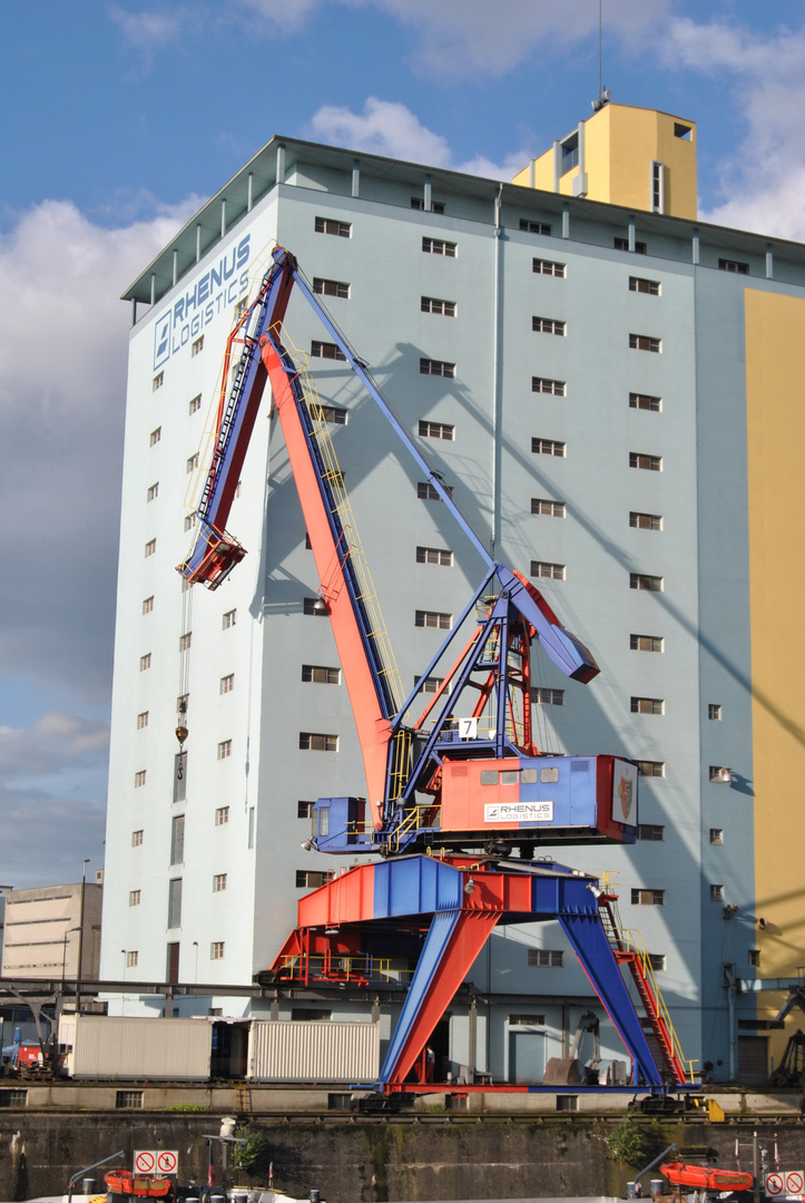 Gigant in rot-blau