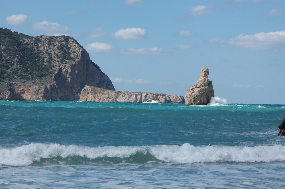 Gigante del mar