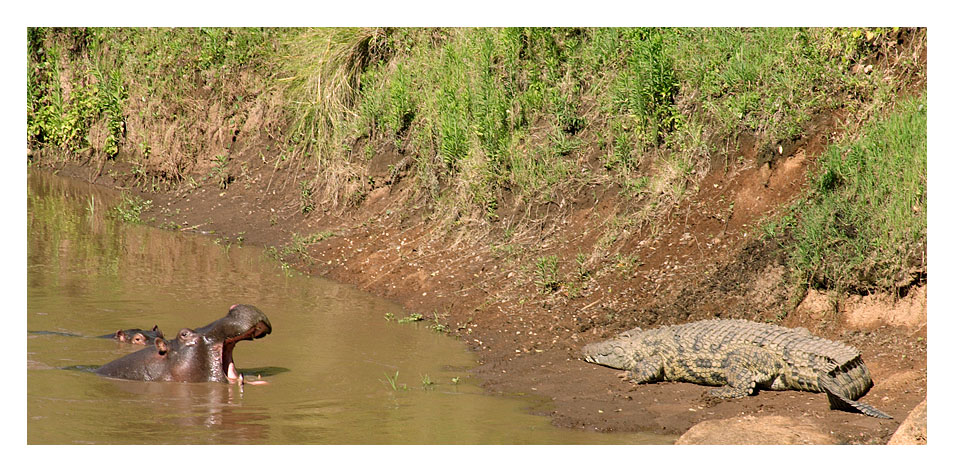 Giganten am Fluss