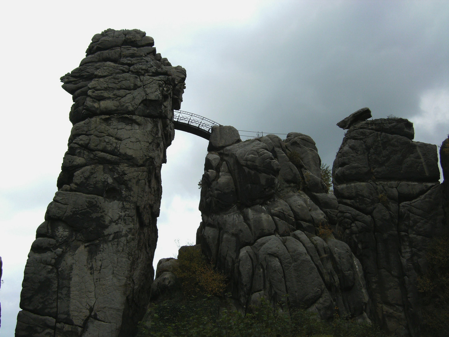 Giganten der Natur