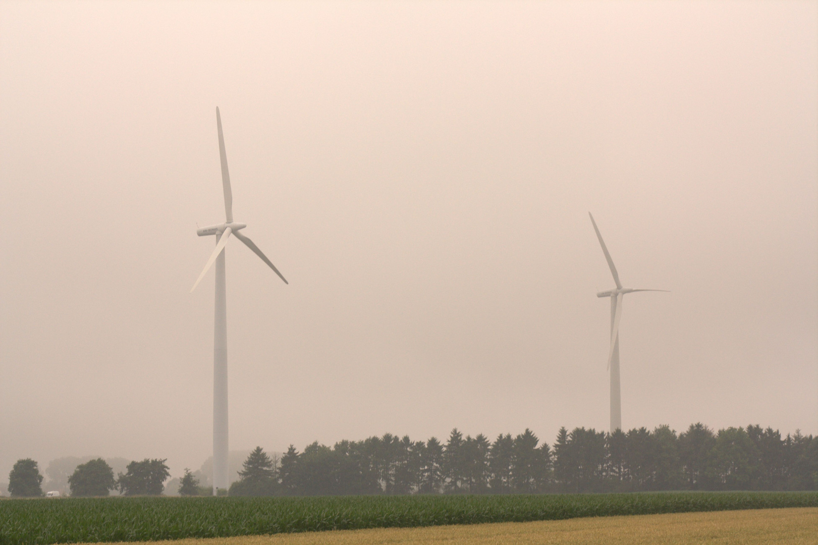 Giganten im Dunst